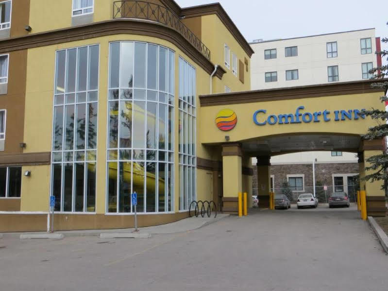 Comfort Inn & Suites University Κάλγκαρι Εξωτερικό φωτογραφία