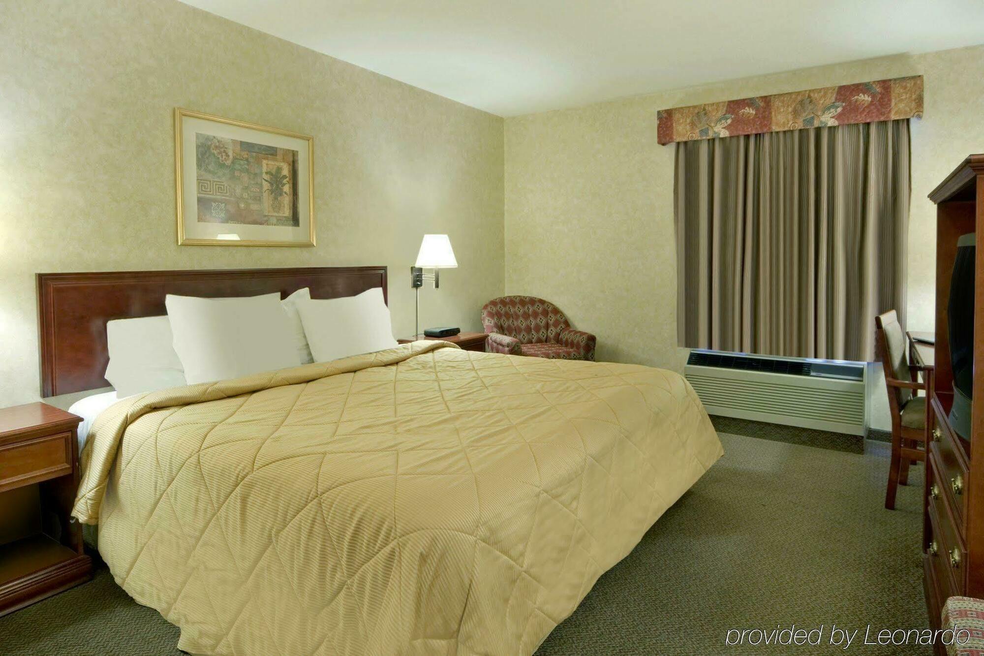 Comfort Inn & Suites University Κάλγκαρι Δωμάτιο φωτογραφία